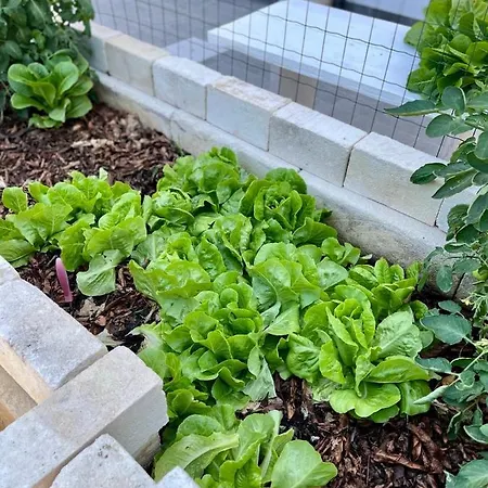 La Casa Di Nina 4* ليتشي