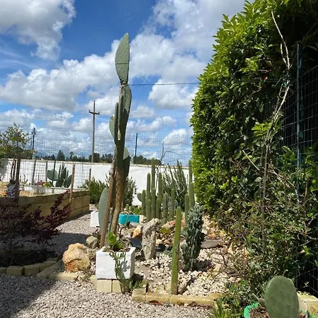La Casa Di Nina Bed & Breakfast