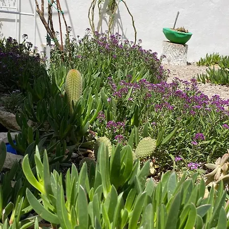 فندق مبيت وإفطار La Casa Di Nina