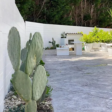 La Casa Di Nina فندق مبيت وإفطار ليتشي