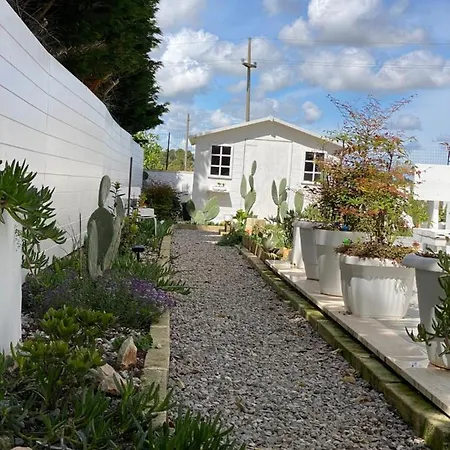 فندق مبيت وإفطار La Casa Di Nina ليتشي