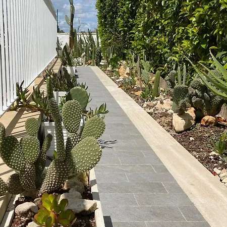 فندق مبيت وإفطار La Casa Di Nina ليتشي