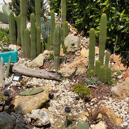 La Casa Di Nina فندق مبيت وإفطار