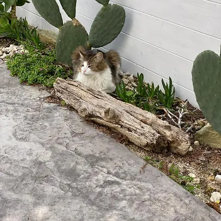 فندق مبيت وإفطار La Casa Di Nina 4*