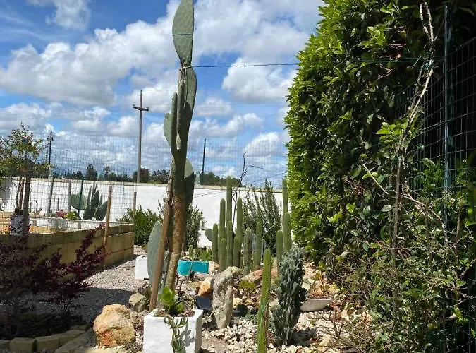 La Casa Di Nina Oda ve Kahvaltı